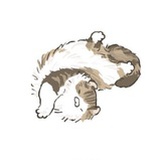 我是好人