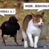 周周