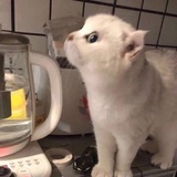 是徐认真呀