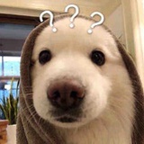 比目