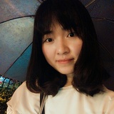 大猫与梦