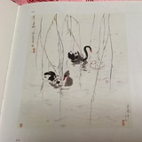 飞翔鸟