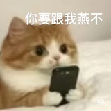 墨瑾