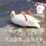 躁动小蹄花