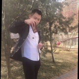 鲸🐳鱼