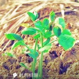 浩瀚与说