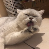 丁丁