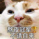 熬夜冠军