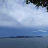 粗面