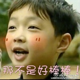 校不校