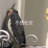∠( ᐛ 」∠)_
