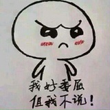 学SEO的小白