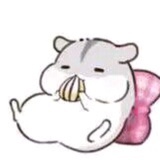清风尧