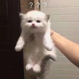 はな