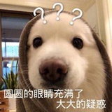 喊我逗比万万岁