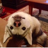 满着