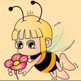 纯野生蜂蜜