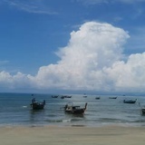 小飞象