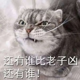 灰灰大王