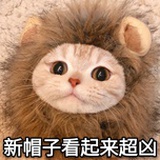沉默-成羊