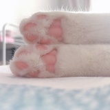 猫猫磁铁