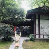 野生小羊