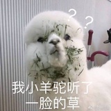 白白