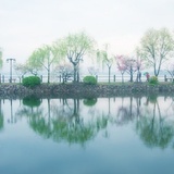 已注销
