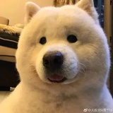 阿基米德的欢乐