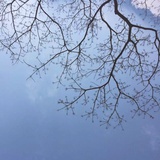 易胥