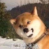 经济学原理