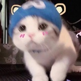 执拗
