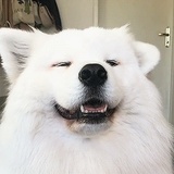 已注销