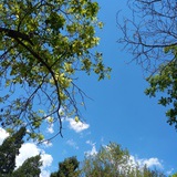 小毅