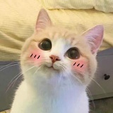 小赵同学