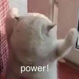 脸上没肉不扛老
