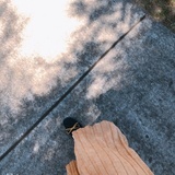 我真是太难了