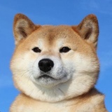武侠