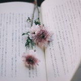 莫奈