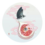 chi_ou