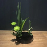 我是小猪123