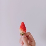 糖葫芦
