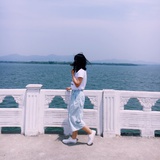D小姐