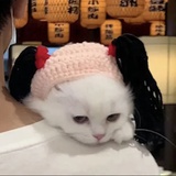 尾尾尾鱼