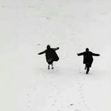 花生了什么树