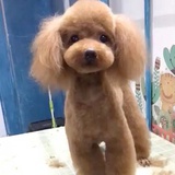 爱忙
