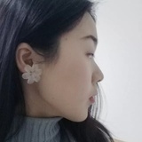 柯艾略略略
