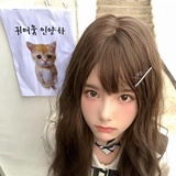 秋叶胡同第一美