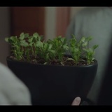 土星的小孩