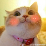 青柠口味